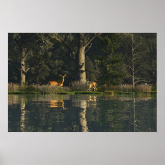 30" x 24" Papierposter mit "Erschrocken"-Bild Poster