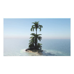 30" x 24" Papierposter: "Stranded"-Bild Fotodruck