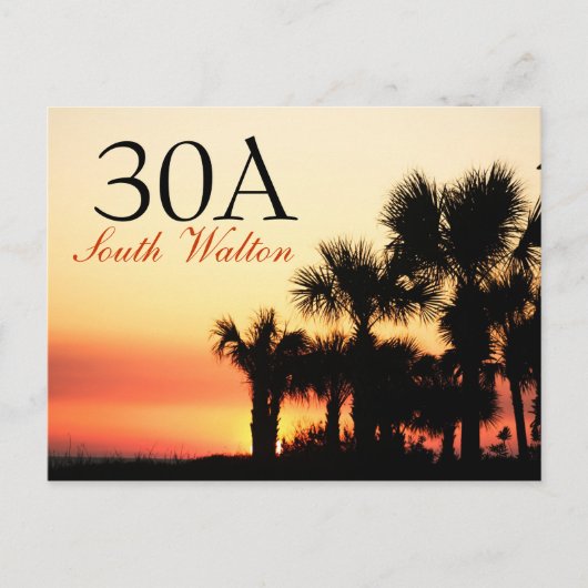 30A - South Walton Palm Tree Sunset Postkarte (Vorderseite)