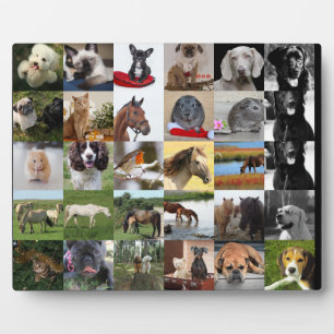 30xFoto Colage Plaque - JEDE Gelegenheit Fotoplatte