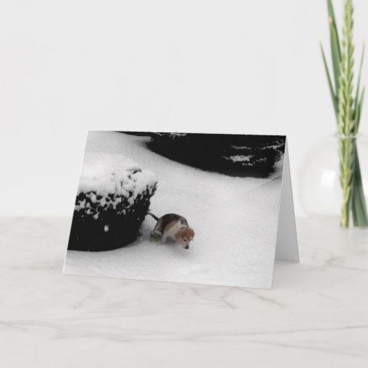 311-Abschluss Congratz Karte (Vorderseite)