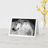 311 Rente Rocks Card Karte (Gelbe Blume)