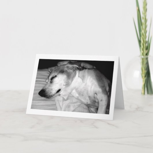 311 Rente Rocks Card Karte (Vorderseite)