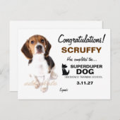 311-Super-Duper-Hundezertifikat Postkarte (Vorne/Hinten)