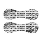 31337 H4X0R BASEBALL (Paneele)