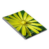 318.JPG NOTIZBLOCK (Rechte Seite)