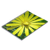 318.JPG NOTIZBLOCK (Linke Seite)