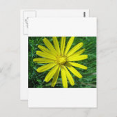 318.JPG POSTKARTE (Vorne/Hinten)