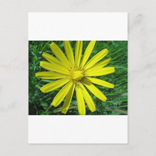 318.JPG POSTKARTE (Vorderseite)