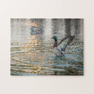 3274-Mallard-Splashing in Pond Puzzle