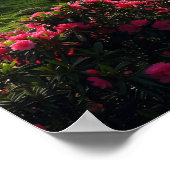 32 im Spätfrühling Mountain Forest Poster (Ecke)