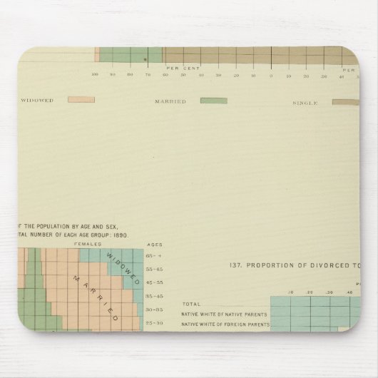 32 Konjugale Bedingung, Scheidung 1890 Mousepad (Vorne)