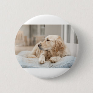 34137641_xxl button