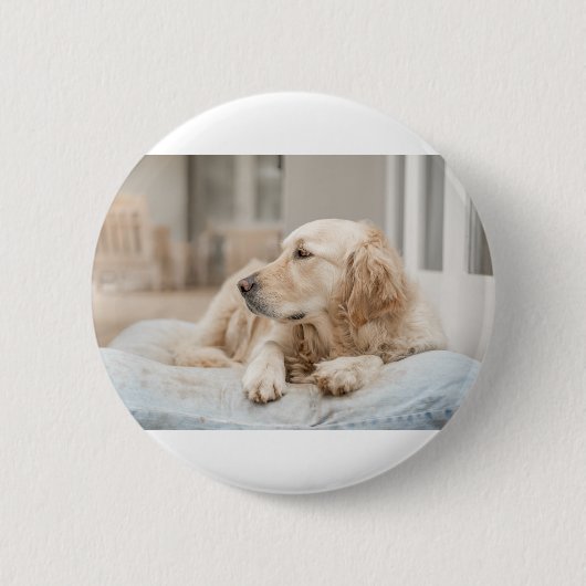 34137641_xxl button (Vorderseite)