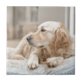 34137641_xxl fliese (Vorderseite)