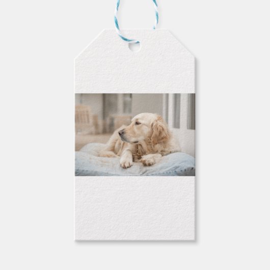 34137641_xxl geschenkanhänger (Vorderseite)