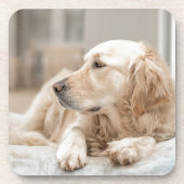 34137641_xxl getränkeuntersetzer (Vorderseite)