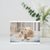 34137641_xxl postkarte (Stehend Vorderseite)