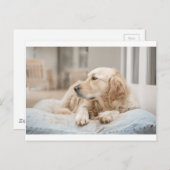 34137641_xxl postkarte (Vorne/Hinten)