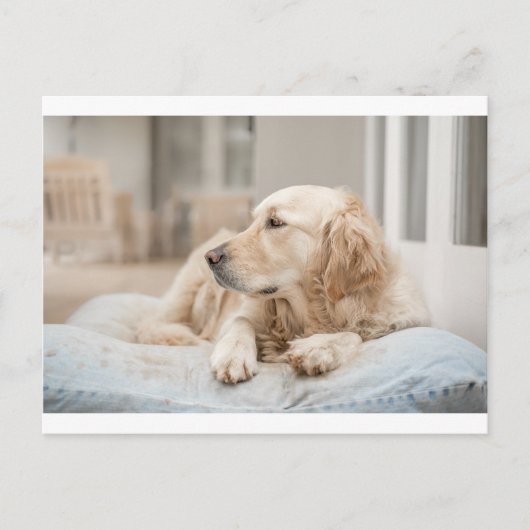 34137641_xxl postkarte (Vorderseite)