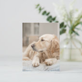 34137641_xxl postkarte (Stehend Vorderseite)