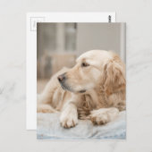 34137641_xxl postkarte (Vorne/Hinten)