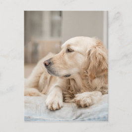 34137641_xxl postkarte