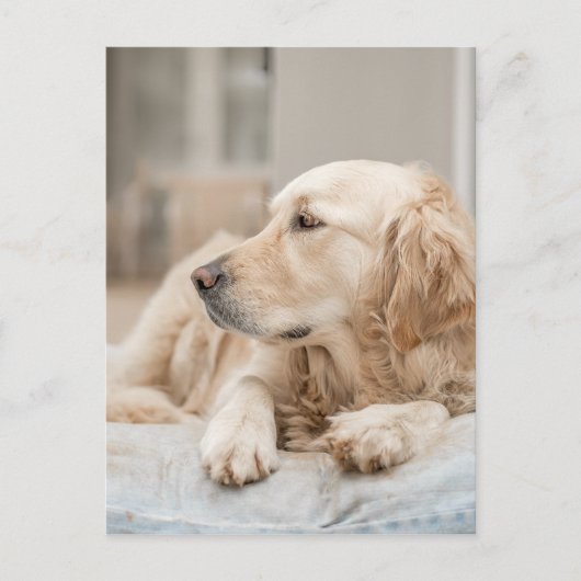 34137641_xxl postkarte (Vorderseite)