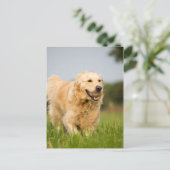 34520685_xxl postkarte (Stehend Vorderseite)