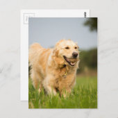 34520685_xxl postkarte (Vorne/Hinten)