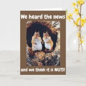 ***34. GEBURTSTAG**** WIR DENKEN, ES IST NUTS!!!!! KARTE (Gelbe Blume)