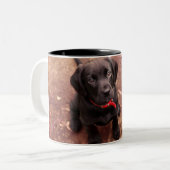 34 Wochen-alter schwarzer Labrador Zweifarbige Tasse (Vorderseite Links)