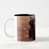 34 Wochen-alter schwarzer Labrador Zweifarbige Tasse (Links)