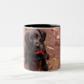 34 Wochen-alter schwarzer Labrador Zweifarbige Tasse (Mittel)
