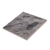 350 Millionen Yr. Alte Pflanze Fossile Dekorative Fliese (Seite)