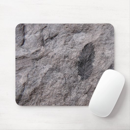 350 Millionen Yr. Alte Pflanze Fossilien Foto druc Mousepad (Mit Mouse)