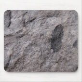 350 Millionen Yr. Alte Pflanze Fossilien Foto druc Mousepad (Vorne)
