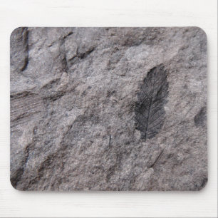 350 Millionen Yr. Alte Pflanze Fossilien Foto druc Mousepad