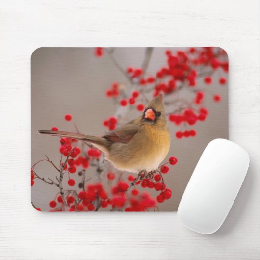 350 MOUSEPAD (Mit Mouse)