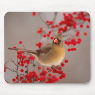 350 MOUSEPAD