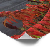 35 m lange Ashuelot-Brücke über die Brücke Poster (Ecke)