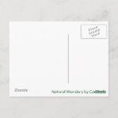 35mm_0007 Rorschach Postkarte (Rückseite)