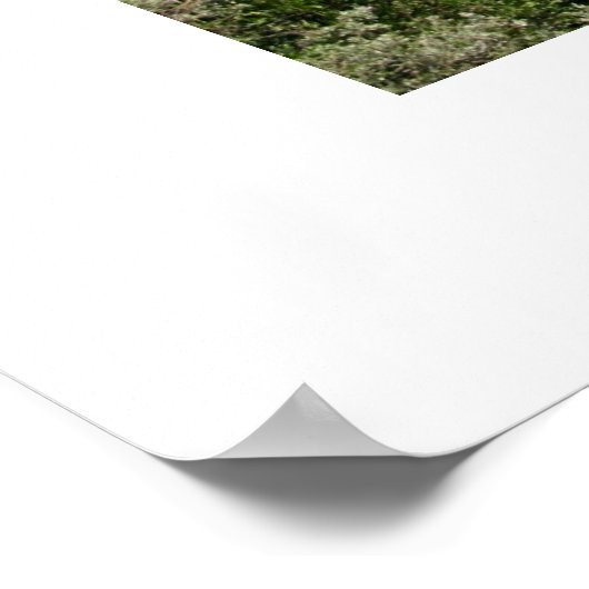 360 Brücke Poster (Ecke)