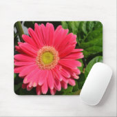 365Blume Gerbera Daisies Mousepad (Mit Mouse)