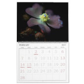 365NM UV Blume Fotografien Kalender (Feb 2027)