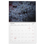 365NM UV Blume Fotografien Kalender (Jan 2027)