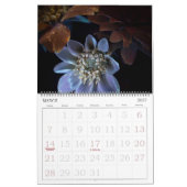 365NM UV Blume Fotografien Kalender (Mär 2027)