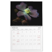 365NM UV Blume Fotografien Kalender (Feb 2026)