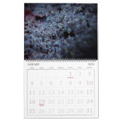 365NM UV Blume Fotografien Kalender (Jan 2026)