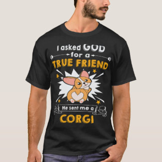 36 Er schickte mir einen Corgi T-Shirt